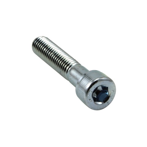 CHAMPION - 5 X 25MM SOCKET CAP SCREWS 